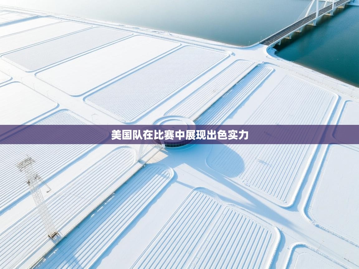 美国队在比赛中展现出色实力 第1张
