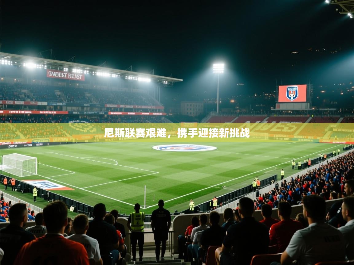 尼斯联赛艰难，携手迎接新挑战  第2张