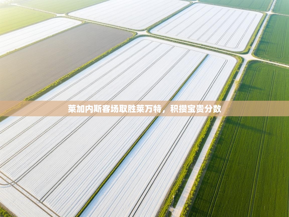 莱加内斯客场取胜莱万特,积攒宝贵分数 第2张