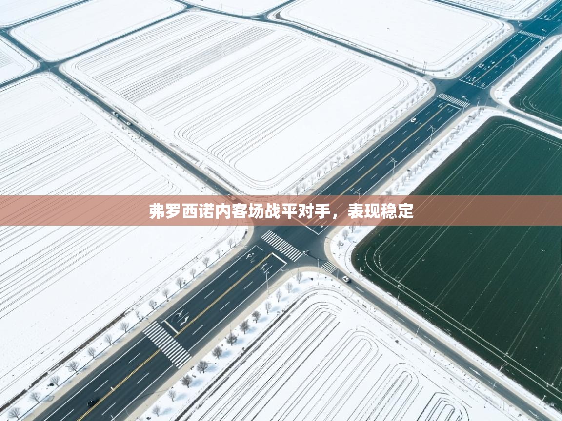 弗罗西诺内客场战平对手,表现稳定 第1张