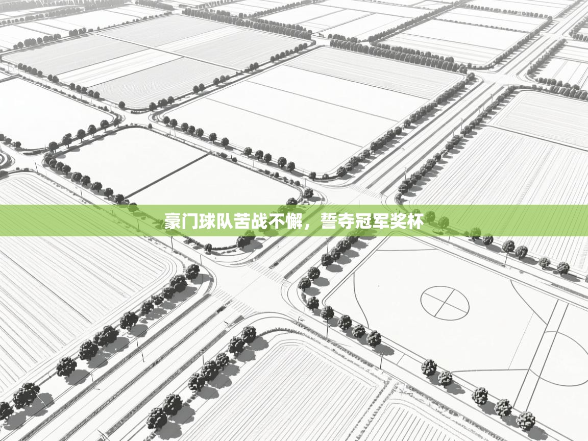 豪门球队苦战不懈,誓夺冠军奖杯 第1张