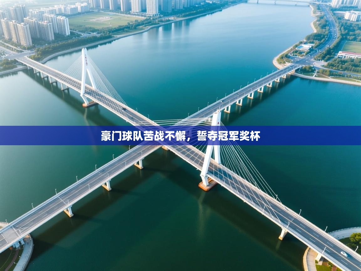 豪门球队苦战不懈,誓夺冠军奖杯 第2张